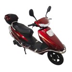Powerful Electric Motorcycle Century Princess Brushless Gearless Motor LCD Instrument Electric Vehicle